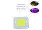 4046 Serisi 200w COB LED Diyot Yüksek Güçlü Led Sokak Lambası Cob Flip Chip