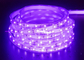 LED UV Siyah Işık Şeridi Kiti 12V LED Şerit Işık Şeridi 2835 IP65 Su Geçirmez UV LED Şerit