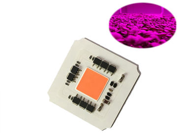 Kolay Taşıyıcı Tüplü Dalış LED Işık Alüminyum Alaşımlı Malzeme 500m Görünür Mesafeli