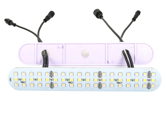 24V DMX512 RGBW Led Pixel Module Lights For Amusement Rides su geçirmez IP67