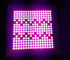 45W Mavi / Kırmızı LED Aydınlatma Işıkları, Panel, Plastik Malzemeli Büyüteç Işık