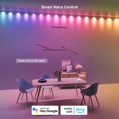 Adres edilebilir RGB IP68 Su geçirmez LED Eave Lights Noel Dekorasyonu için