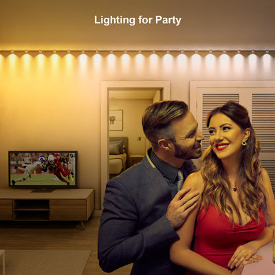 Adres edilebilir RGB IP68 Su geçirmez LED Eave Lights Noel Dekorasyonu için